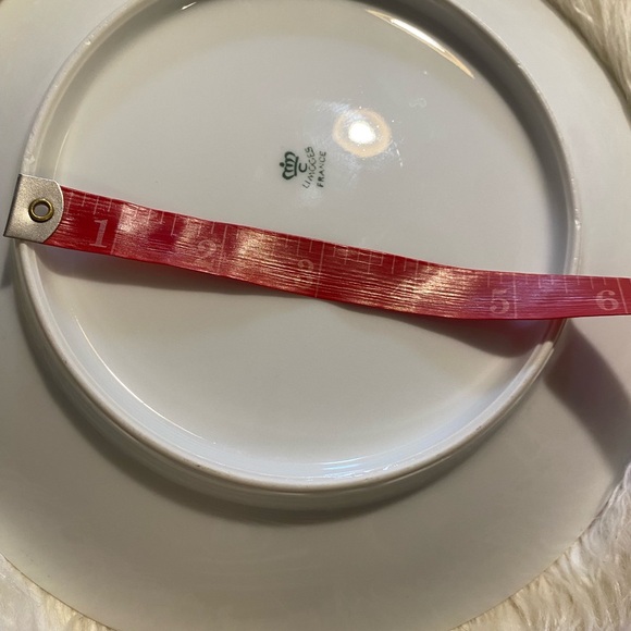 Vintage Princess Grace Kelly and Prince Rainier of Monaco Souvenir Plate Limoges - Picture 3 of 8